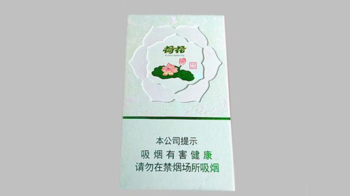 荷花牌绿水青山香烟价格一览表 荷花绿水青山香烟价格表和图片