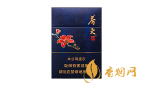 双喜春天中支香烟多少钱一盒2025最新价格