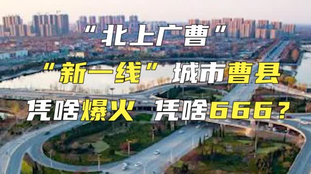 北上广曹县是什么梗 北上广曹县梗意思及出处介绍