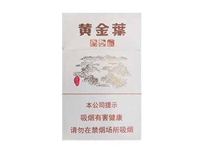 黄金叶(太行山)图片