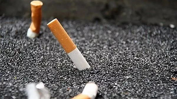 貴煙流金歲月怎么樣 貴煙流金歲月口感測評