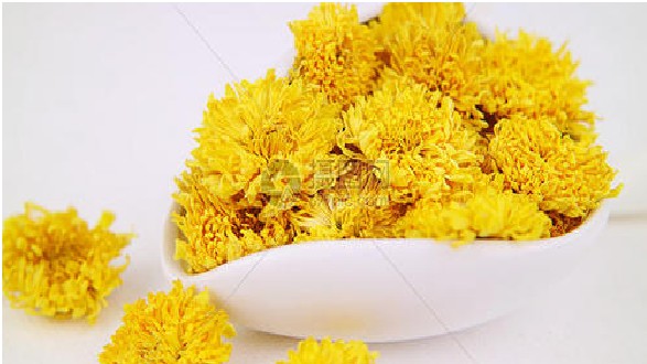 菊花茶的功效與作用一覽 菊花茶有哪些功效