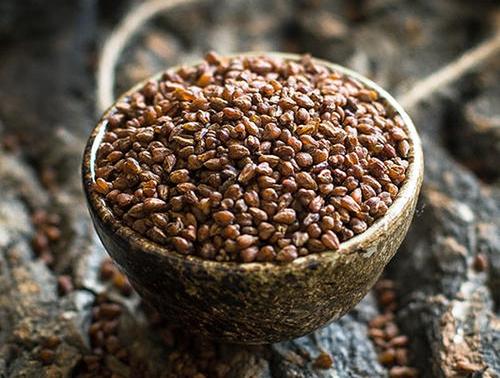 女性喝苦蕎茶的壞處 女性喝苦蕎茶的壞處有哪些