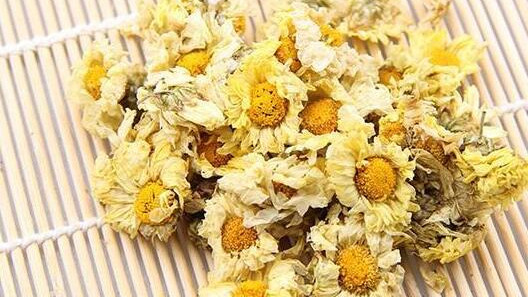 杭白菊的功效與作用 杭白菊的禁忌有哪些