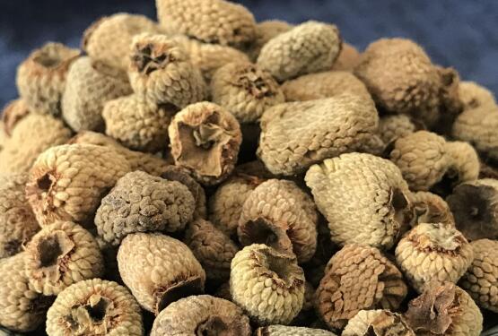 覆盆子葉茶功效與作用 覆盆子葉茶食用方法