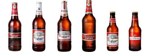 百威啤酒代理加盟費多少 百威啤酒代理加盟條件