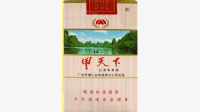 甲天下香烟多少钱一盒 甲天下香烟价格表图片大全2021