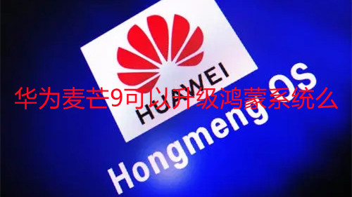 華為麥芒9可以升級鴻蒙系統(tǒng)么-升級HarmonyOS步驟說明一覽