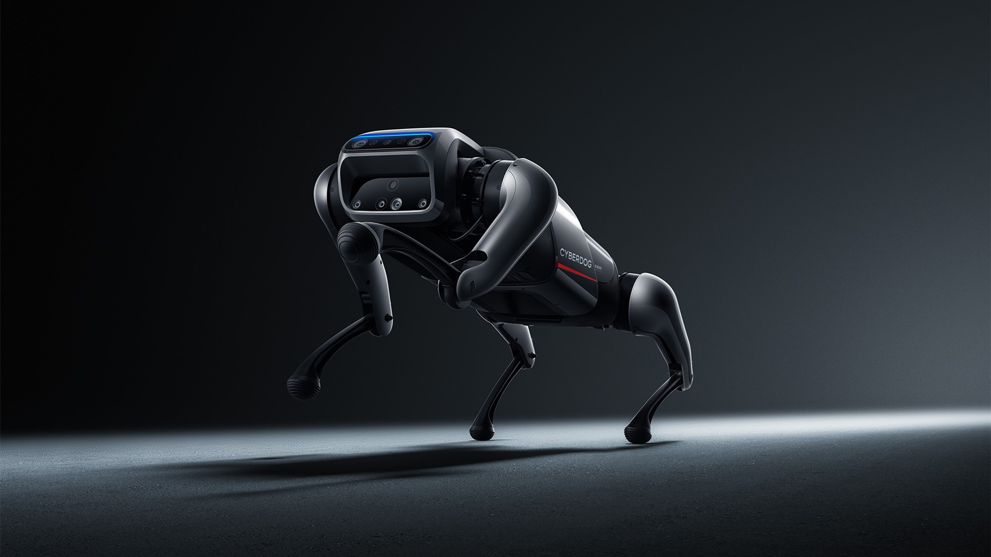 小米機(jī)器人鐵蛋是什么 小米機(jī)器人鐵蛋怎么用功能介紹