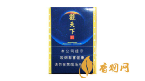 天子观天下中支一包多少钱香烟批发价格查询