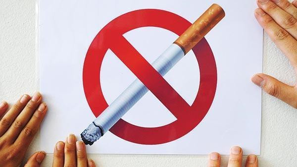 金圣大赢家多少钱一包2025 金圣大赢家价格及图片