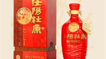 汝阳杜康中源52度价格 汝阳杜康中源52度怎么样