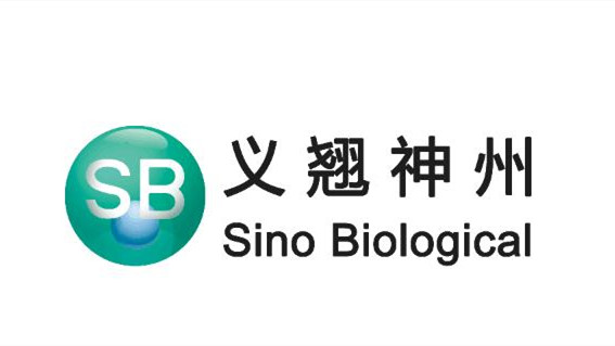 301047义翘神州中签率是多少义翘神州中签率查询