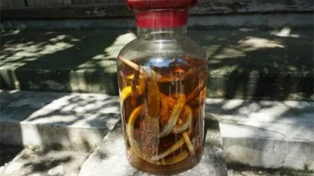 三蛇酒多少钱一瓶 三蛇酒价格表