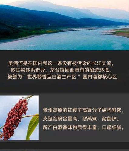 发挥酱香型白酒原产地 独树一帜的中国美酒