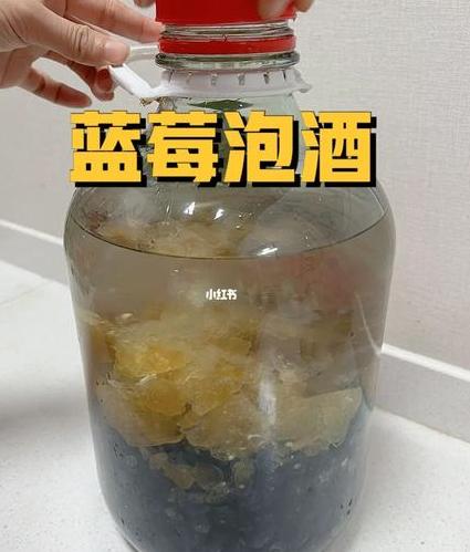 蓝莓怎么泡白酒最好喝:教你做一杯美味佳酿-香烟网