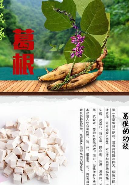首先,我们不妨来了解一下葛根的功效.