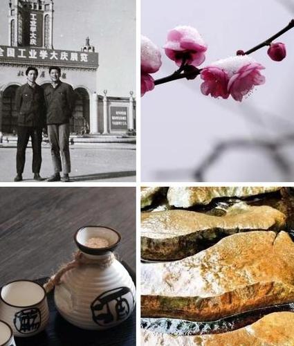 秦淮春什么酒,了解一下这个有趣的故事