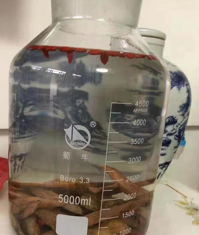 什么酒泡肉苁蓉最好:佐酒的必备良药