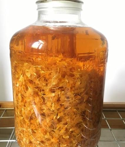 红杉树泡酒有什么作用?