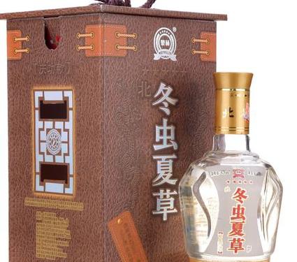 冬虫夏草酒怎么样-真与假,你知道吗?