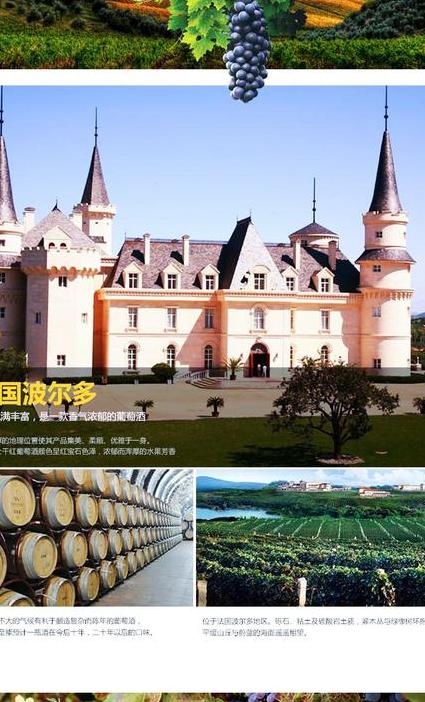 芳塔罗洛红酒怎么样?解密罗马帝国时期的传奇酿酒技艺