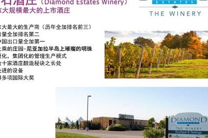 加拿大钻石酒庄怎么样?一份深度探究