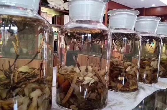 冬虫夏草泡酒怎么泡?教你一步步制作