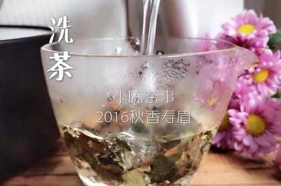 为什么有的洗茶有的不洗茶