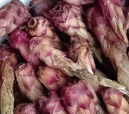 楚雄產什么茶葉好