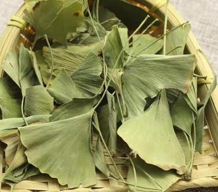 喝银杏叶茶不能吃什么食物