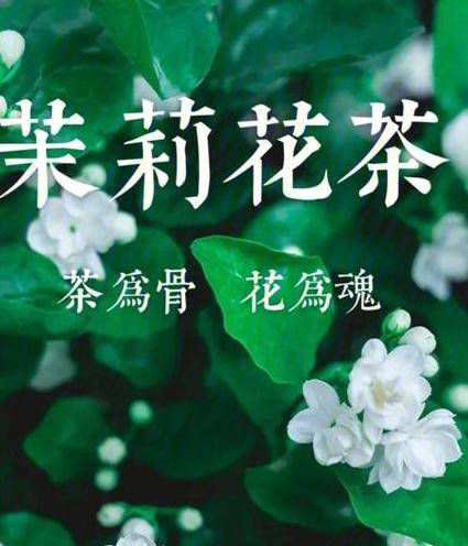 茉莉花茶是干嘛用的