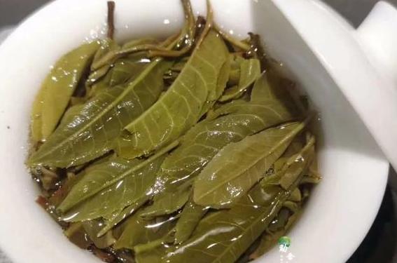 普洱茶茶底是什么意思