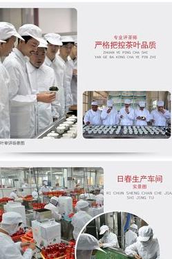 日春茶業主要做什么茶類